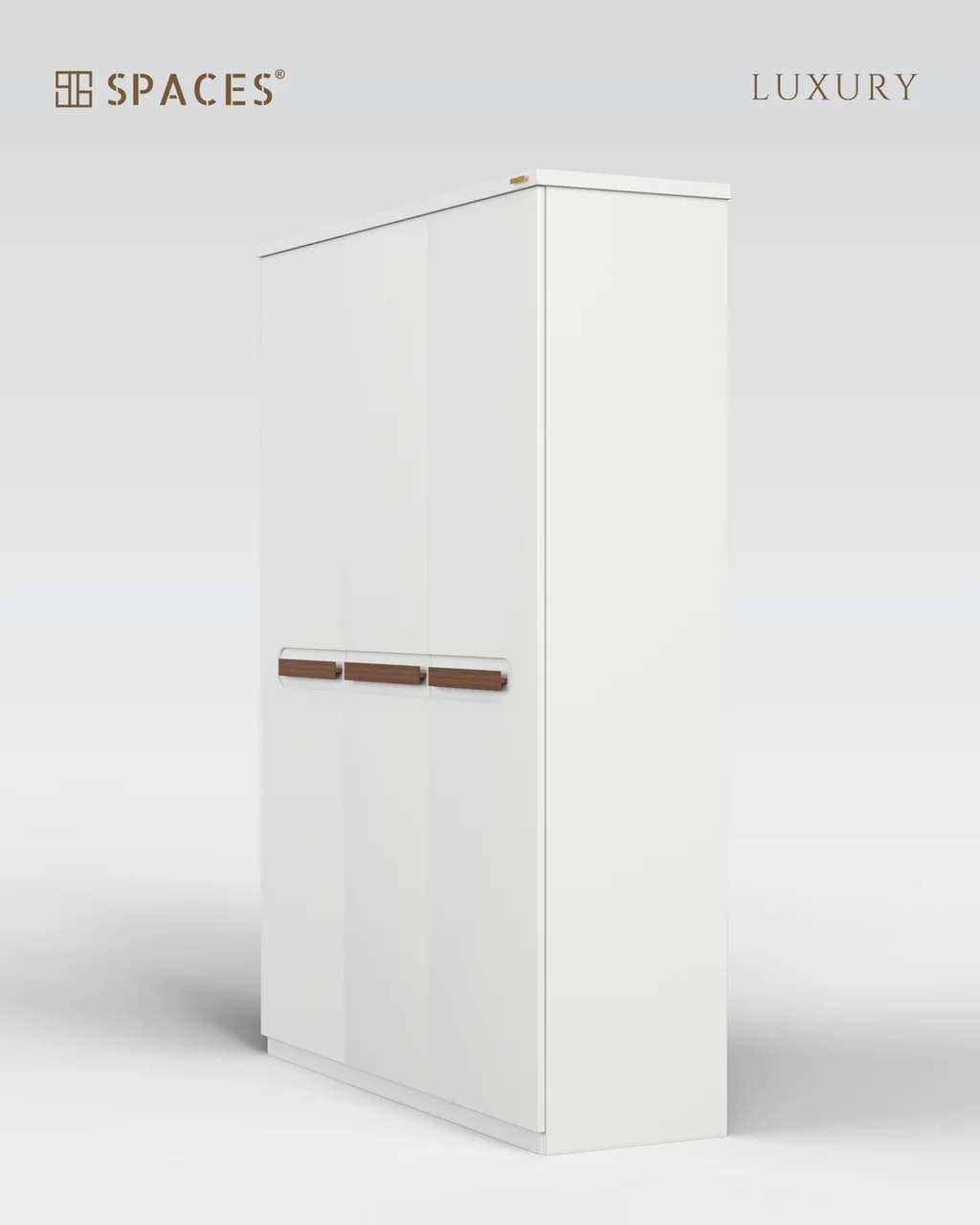 Lumen Luxury Wardrobe with Wooden Accent