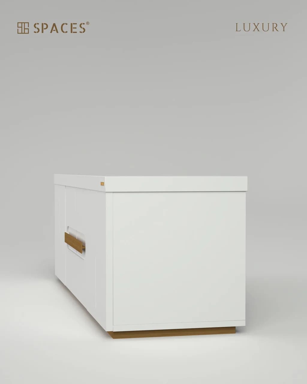 Lumen Luxury TV Cabinet with Wooden Accent